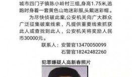 丹东凤城爆料案件最新情况,案情揭秘，疑云逐步揭开